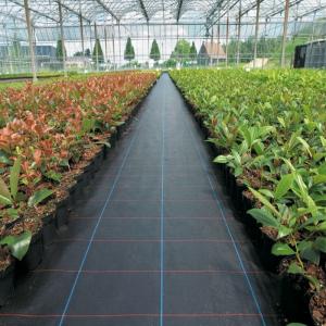 Wholesale Water Savings PP Woven Mat, Weed Control Fabric with long lifespan from china suppliers