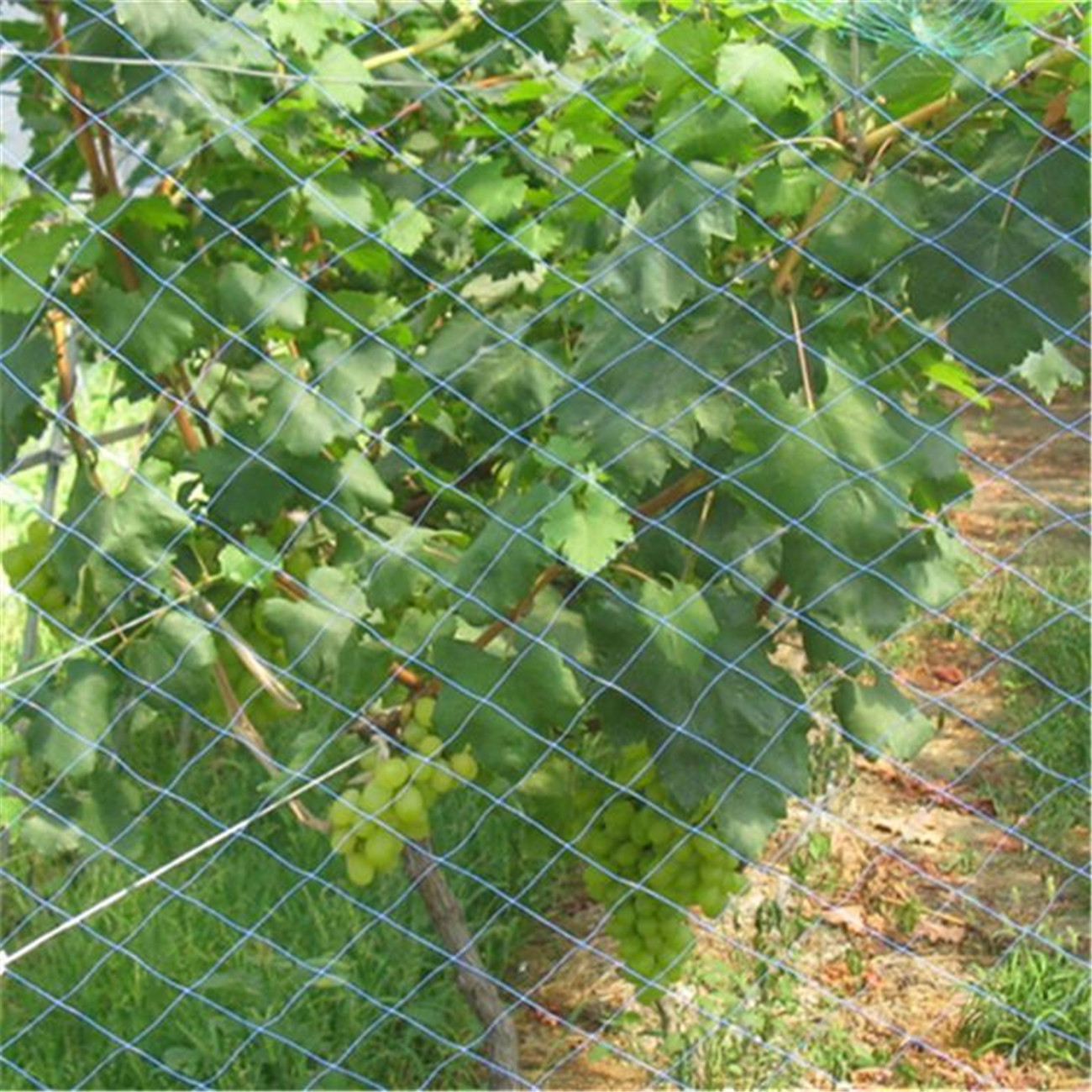 Wholesale anti bird protection net from china suppliers