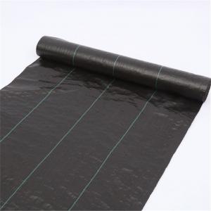 Wholesale agricultural plant anti root weed mat with UV from china suppliers