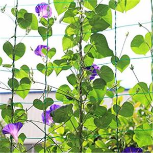 Wholesale # Plant suppor net from china suppliers