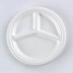 USA Market Compostable BBQ Tableware Bagasse 3 compartment Round Plate