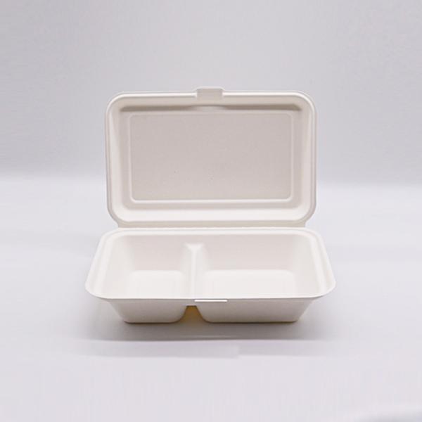 Biodegradable Disposable Sugarcane Bagasse Takeaway Food Container Packaging