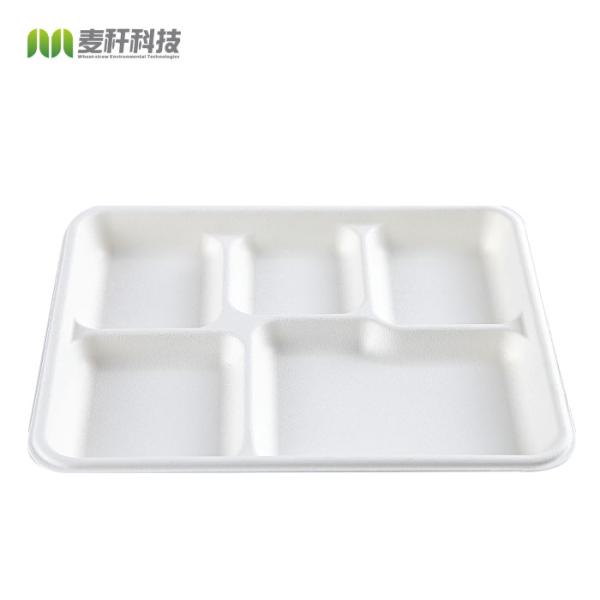 Eco Friendly 5c Biodegradable Disposable Tray Sugarcane Bagasse Products