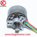 BL3025 12V DC Fascia Gun BLDC Motor Massager High Torque 30mm 35mm 37mm 38mm