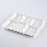 Eco Friendly 5c Biodegradable Disposable Tray Sugarcane Bagasse Products