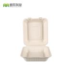 Sugarcane Bagasse Fiber Food Packaging Box 5 - 9inch Size LFGB Tested