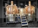 Red Copper Small Beer Production Line 500L Beer Brewing Equipment