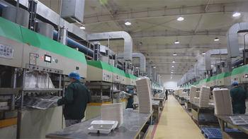 Hubei Wheat-Straw Environmental Technologies Co., Ltd.
