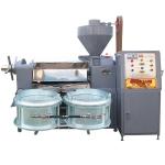Model peanut cottonseed groundnut sunflower seed oil press machine with Vacuum