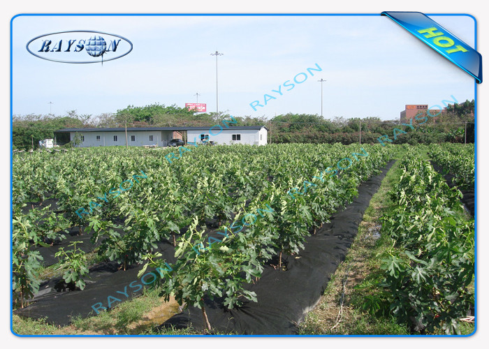 Biodegradable Agricultural Non Woven Cover 100 % Virgin PP Non Woven Film