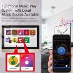 Tuya Smart Home Security Background Music System Wall Amplifier Central Control