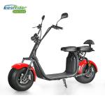 EcoRider Fat Tire 2 Wheel Electric Bicycle , On Off Road Eletric Scooter With