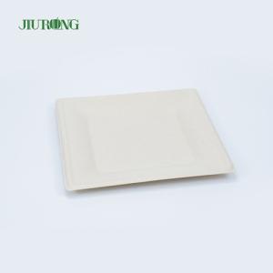 Wholesale Matt Lamination Sugarcane Food Container White Paper Dinner Plates Jiurong from china suppliers