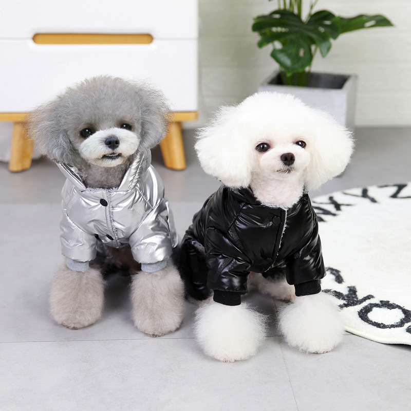 Pet Clothing Essential Winter Padded Jacket for Small Dogs Cotton Four-Leg Coat