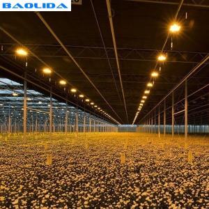 Wholesale Plastic Automated Blackout Light Deprivation Greenhouse Single Span Agricultural from china suppliers
