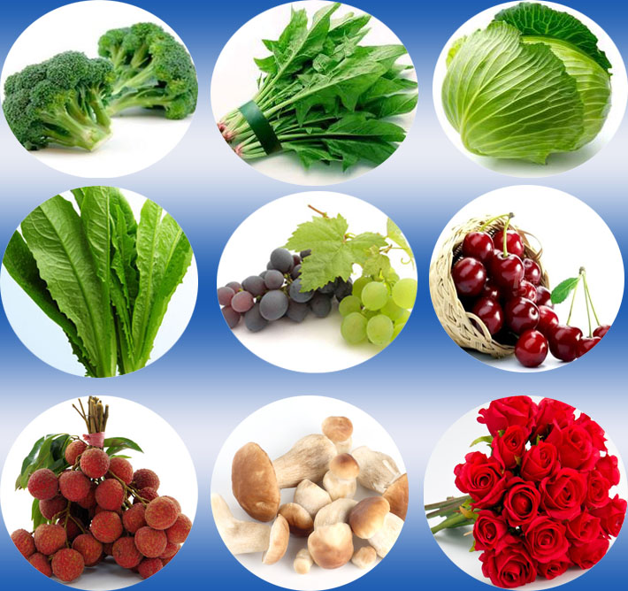 Fast Quick Cooling Fresh Cut Flowers Pot Plant Fresh Produces Vacuum Cooing Machine 3 Air Craft Pallets