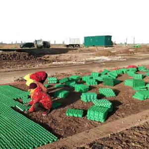 Wholesale CE/ISO9001/ISO14001 Certified Plastic Gravel Stabilizer for Parking Lot and Driveway from china suppliers