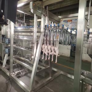 Wholesale Stainless Steel Chicken Slaughterhouse Equipment Poultry Defeathering Machine For Farms from china suppliers