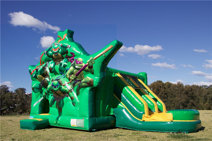 Commercial Teenage Mutant Ninja Turtles Dual Slide Combo Jumping Castle For Party Custom Size