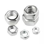 DIN934 SS304 316 Industrial Steel Pipe Fittings Galvanized SS Hex Nuts