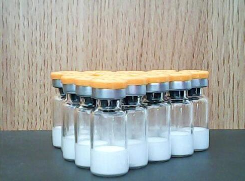 GMP 10ml Glass Vials Transparent Sterile Empty Vials With Rubber Stopper