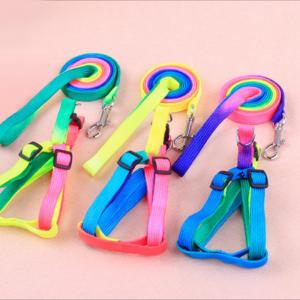 China Colorful Pet Traction Rope Nylon Quick Release For Dog on sale