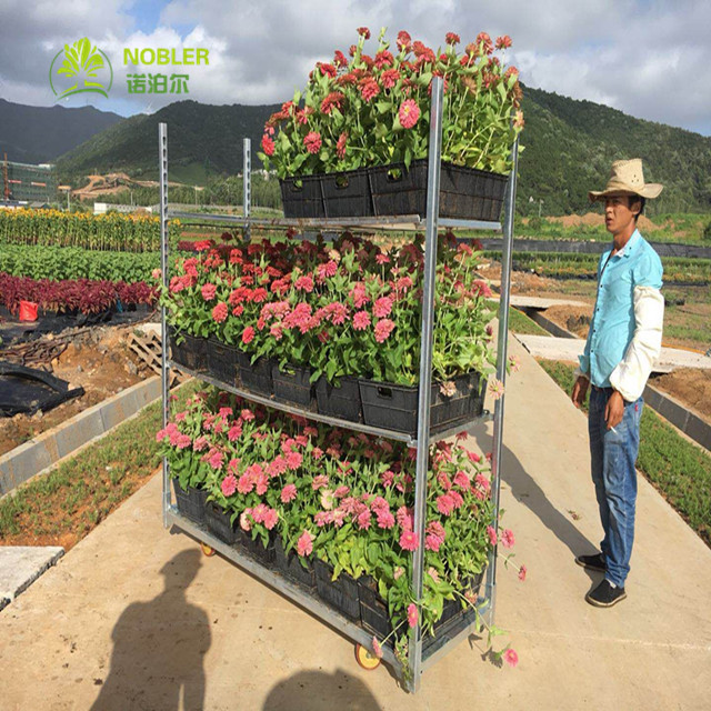PP Wheel Danish Flower Trolley Seedling Cart Hot Galvanizing
