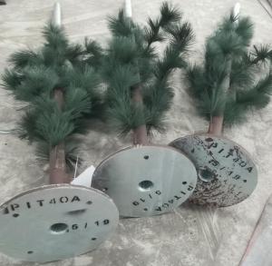 Wholesale Pine Tree Mobile Tubular Antenna Tower For Telecommunication from china suppliers