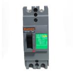 Single Pole Compact Circuit Breaker Ezc100 Famous Brand MCCB 2p 15A 20A 30A