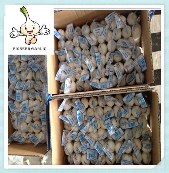 Best Quality Normal White Garlic wholesale royal factory outlets fresh pure