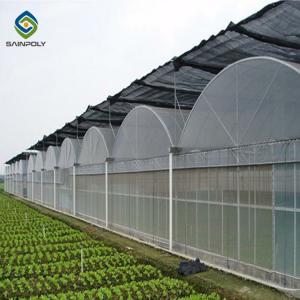 Wholesale Tomato 0.15mm Polyethylene Film Multi Span Greenhouse from china suppliers