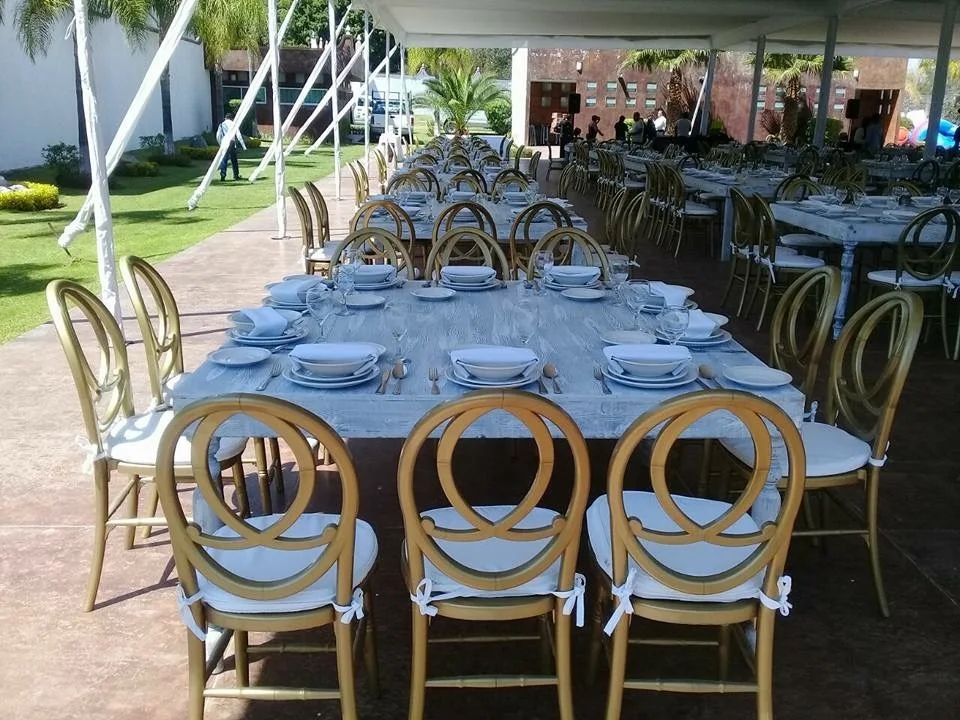 OEM Acrylic Resin Phoenix Chair Modern White Resin Chiavari Chairs