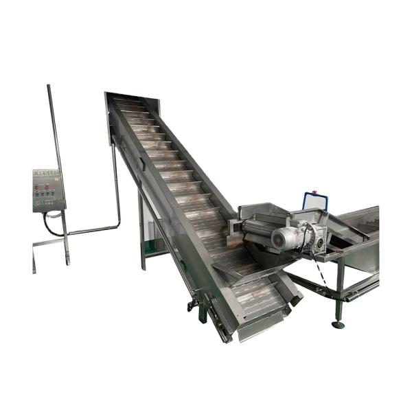 Food Grade 304 Stainless Steel Citrus Processing Plant For Fresh Orange Robust