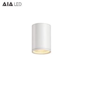 Wholesale IP65 waterproof ceiling mounted TRIAC dimmable downlight 10W 0-10V dimmable outdoor down light &amp;exterior downlight from china suppliers