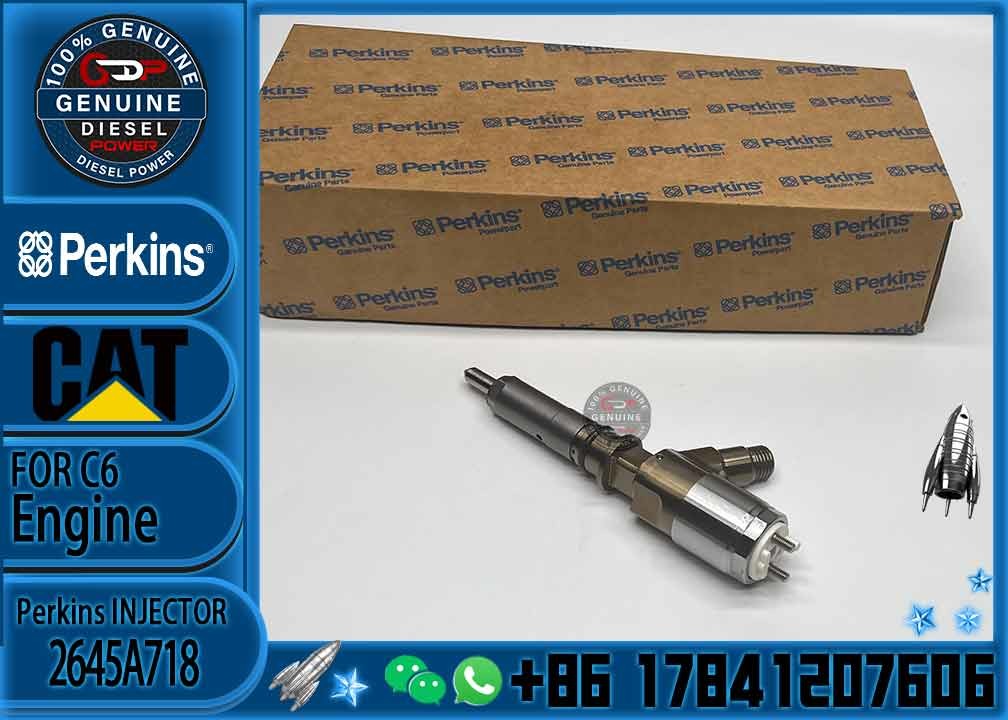 Brand New For 323D C6.6 Excavator Engine Common Diesel Engine Fuel Rail Injector 292-3780 2645A718