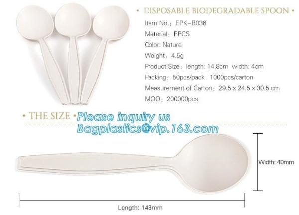 factory direct biodegradable corn starch 5 inch dessert spoon,food grade