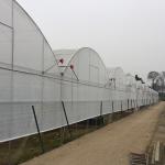 200 Micron PE Film Multi Span Greenhouse Structure / Polyethylene Foil