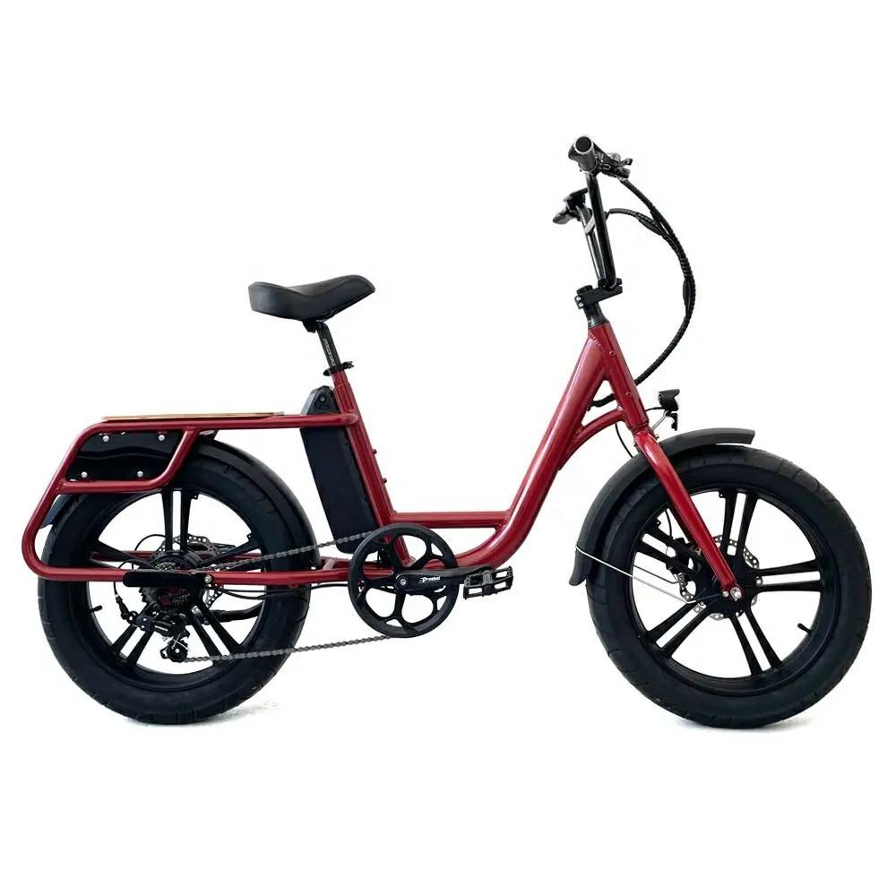 Rear Hub Motor Electric Cargo Bike 24 Inch Fat Tire Cargo Ebike 7 Speed 48V 500W / 750W
