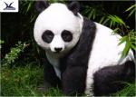 Theme Park Waterproof Life Size Panda Statue Animatronic Animal Model
