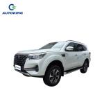 5 Seats Ev Pickup Truck 2wd Paladin Ariya 500 600 Plus ARIYA 4Wd Pickup Truck