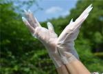 Household Latex Free S Disposable TPE Gloves