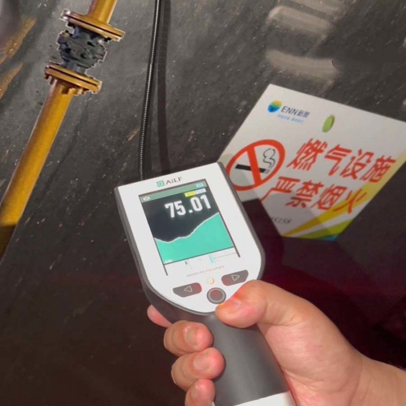 Internal Pump Portable Handheld Combustible Laser Methane Gas Detector