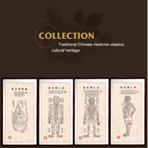 Wholesale CE Certified Basic Cupping Cups Cupping Set Hijama Kits Comprehensive Solution for Therapeutic and Wellness Applications from china suppliers