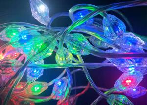 Wholesale Smart Programmable RGB LED Christmas Lights 0.028 Amps Used In Wedding Club from china suppliers