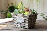 home dicorative wicker garden baskets table flower wicker basket manufacturer