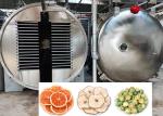 200Kg 100Kg Capacity Food Industrial Food Freeze Dryer