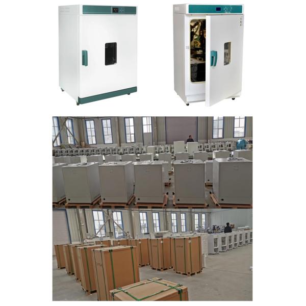 Electric Blast Drying Oven for Laboratory Fruit Drying Electrostatic Spraying Coating
