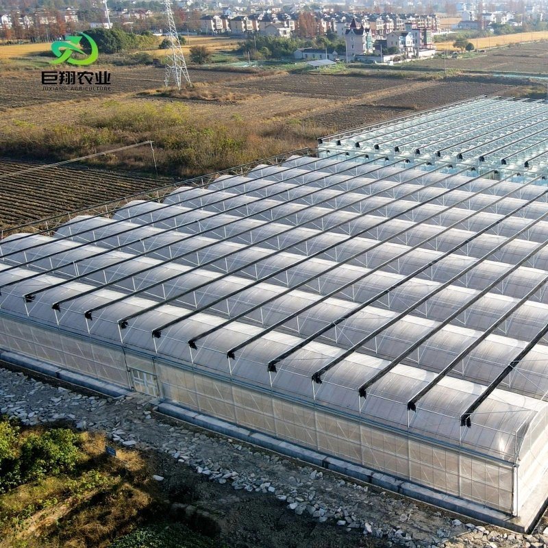 Shading Screen Glass Greenhouse Hydroponic System