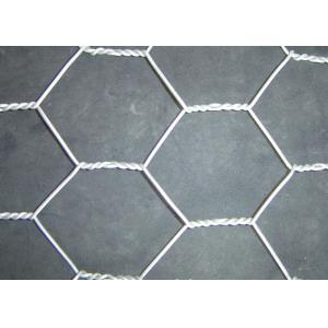 China Straight Twisted Hexagonal Wire Netting Mesh 5/8 For Poultry Cage on sale
