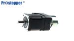 60mm Customzied Stepper Motor